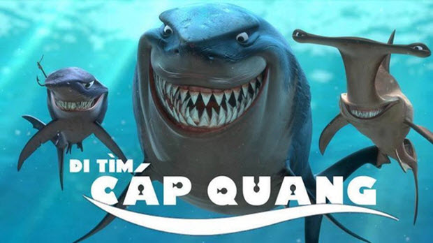  Thêm một đường cáp quang biển nữa đứt, người Việt có thể phải đón Tết Đinh Dậu không kết nối Internet với thế giới